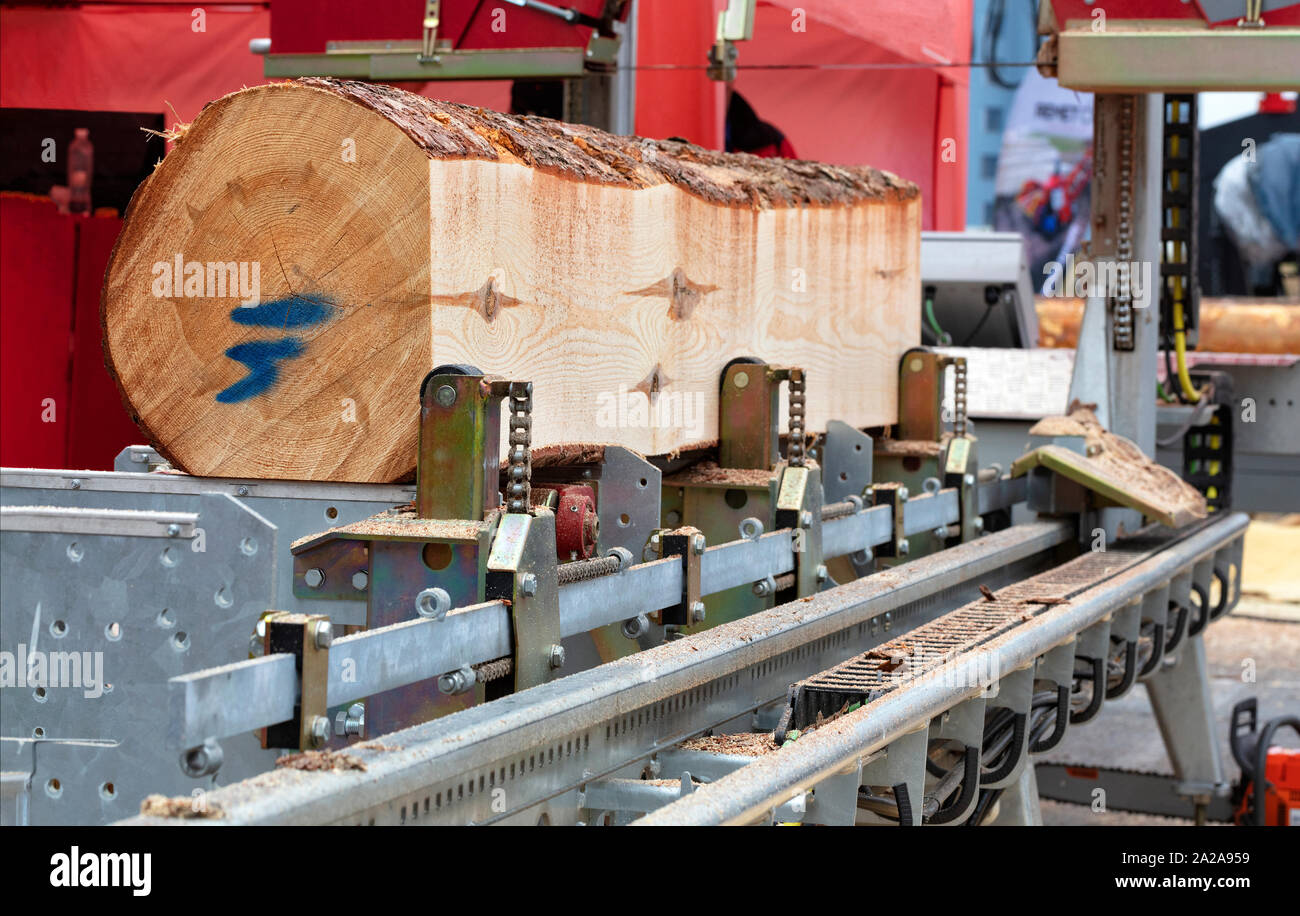 Macchine per la lavorazione del legno, legname, un grande pino log è fissato sul cavalcavia di una moderna segheria automatica. Foto Stock