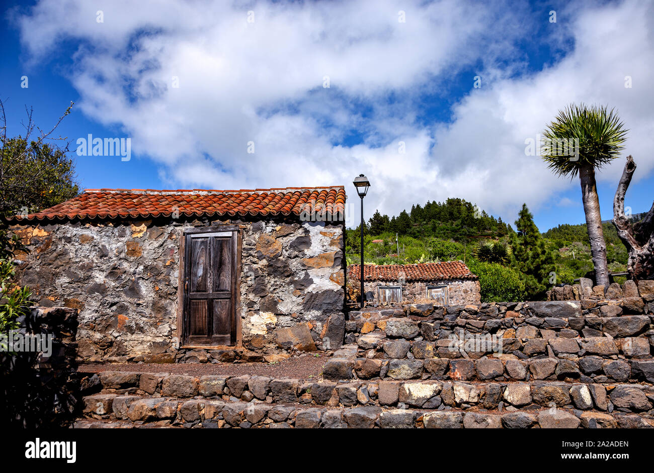 Canario tradizionale case con Dragon Tree, La Palma, Isole Canarie, Spagna, Europa. Foto Stock