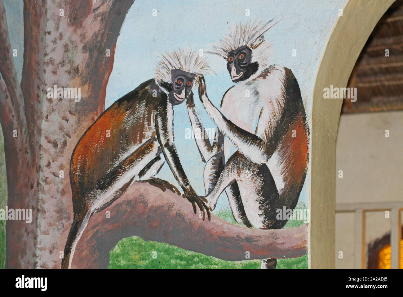 Tela di Zanzibar Red Colobus scimmie, Jozani-Chwaka bay National Park Zanzibar, isola di Unguja, Tanzania. Foto Stock