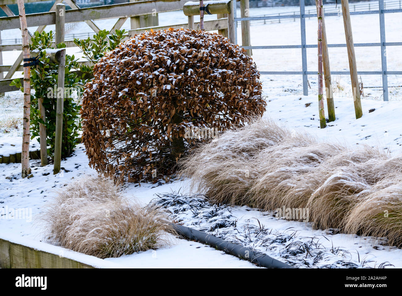 Cupola rivestita in rame immagini e fotografie stock ad alta