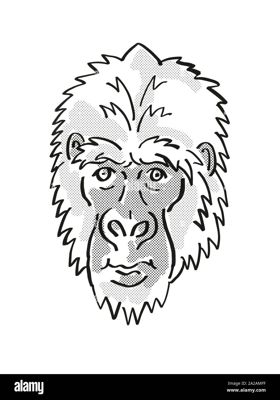 Retrò cartoon mono stile linea disegno della testa di un Gorilla orientale o Gorilla Berengei, una fauna selvatica minacciate di estinzione di specie isolato su sfondo bianco d Foto Stock