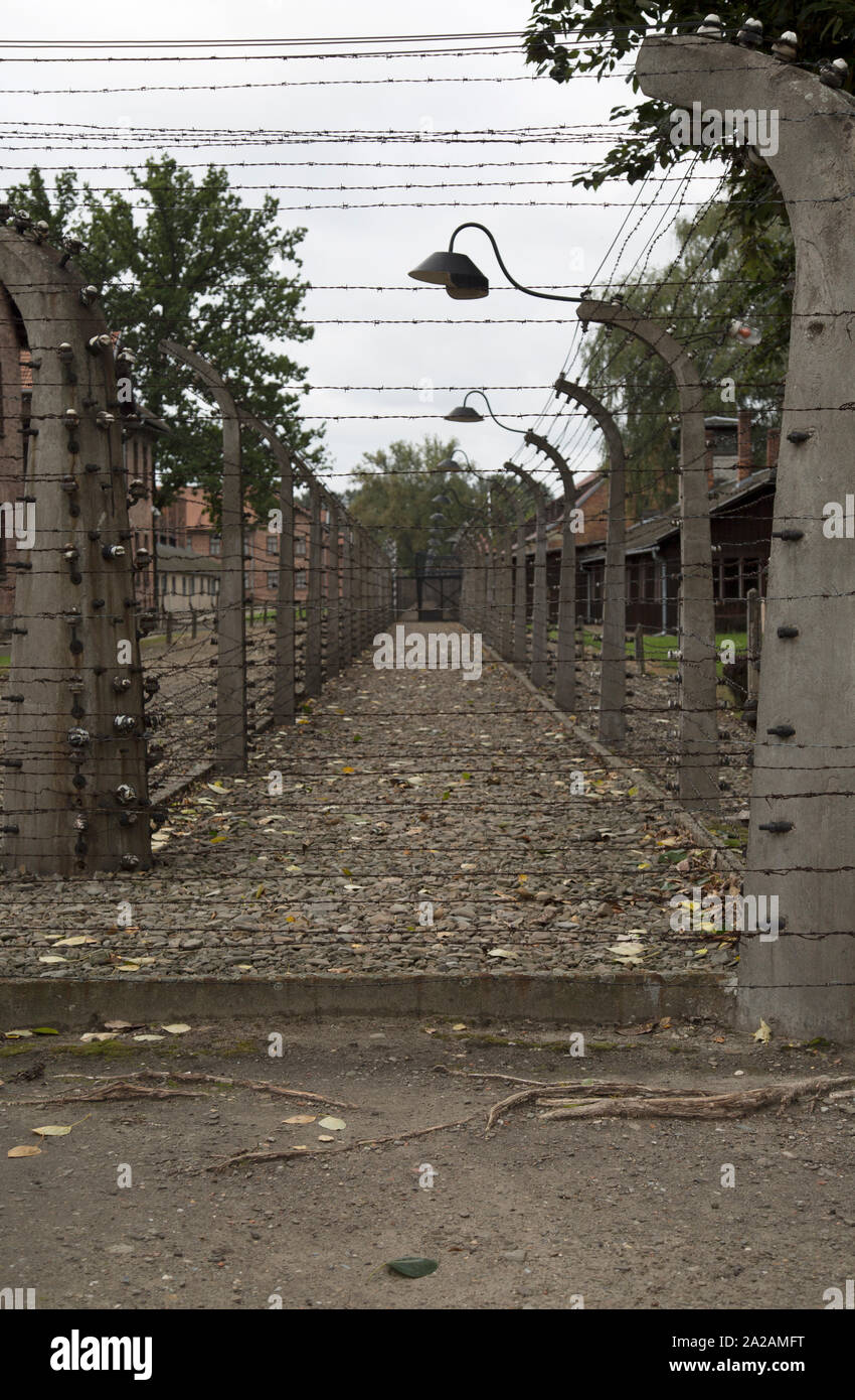 Sicurezza elettrica Recinti - cancelli di Auschwitz I campo di concentramento, Oświęcim, Polonia Foto Stock