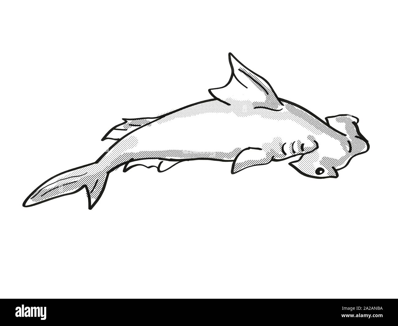 Retrò cartoon mono stile linea di disegno di un festone o a testa di martello Sphyrna lewini, una specie di squalo martello, una fauna selvatica minacciate di estinzione delle specie su è Foto Stock