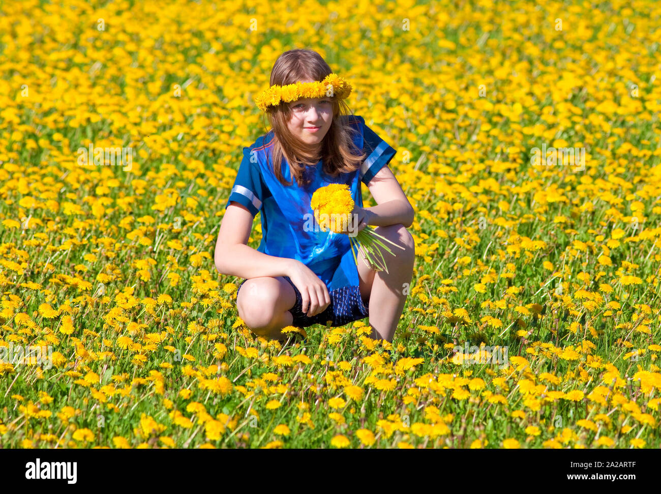 Ragazzo con capelli biondi il prelievo di tarassaco su un prato Foto Stock