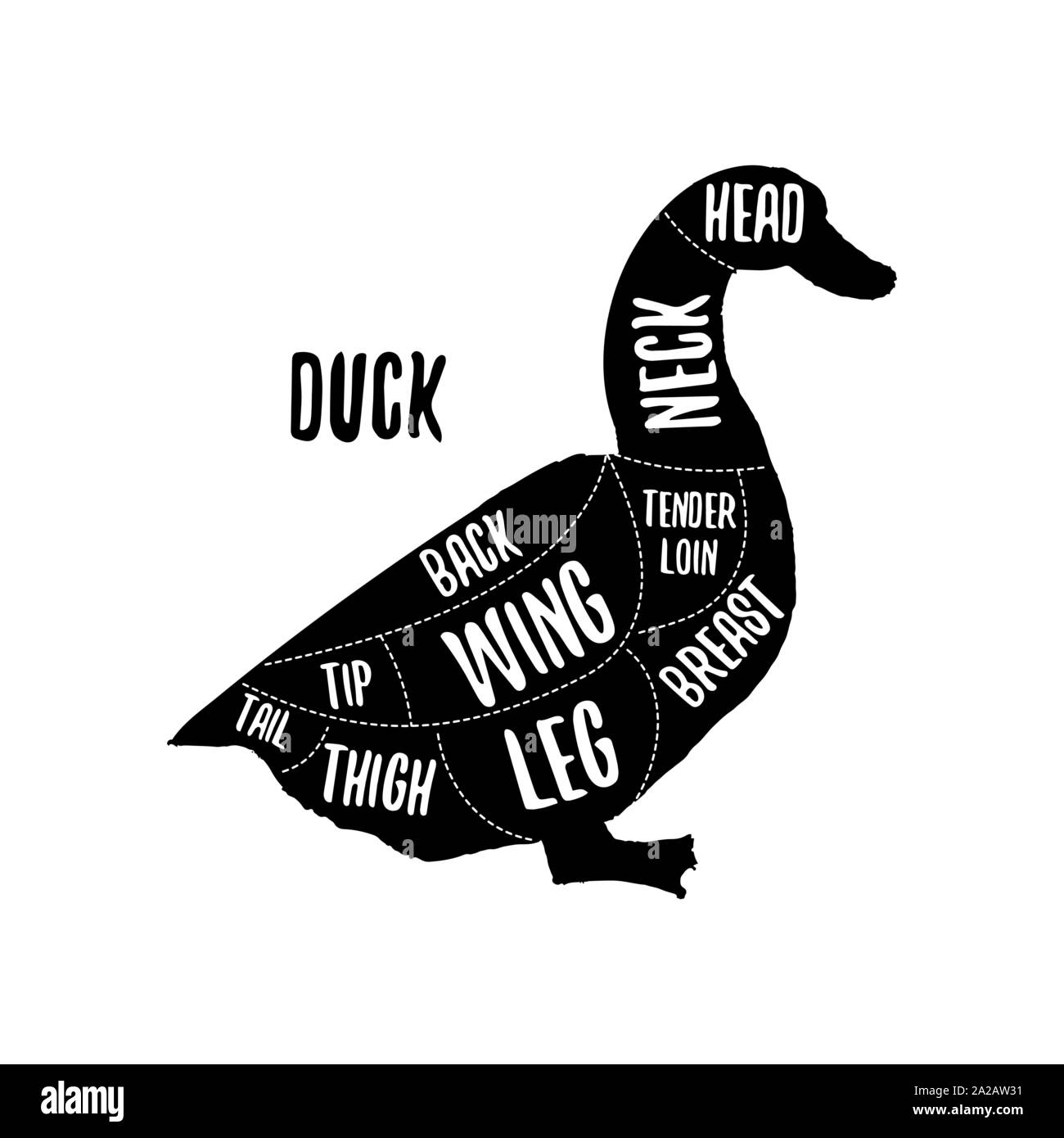 Carne di anatra grafici di taglio illustrazione vettoriale per negozio di macellaio guida. Etichetta per farm design Illustrazione Vettoriale
