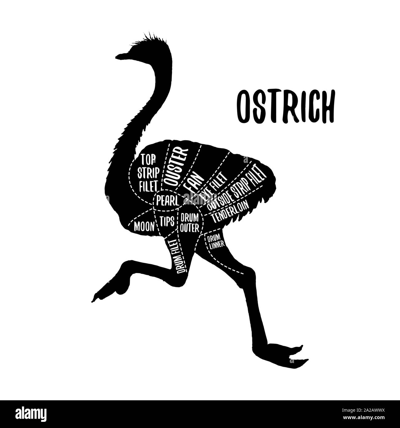 A base di carne di struzzo e grafici di taglio illustrazione vettoriale per negozio di macellaio guida. Etichetta per farm design Illustrazione Vettoriale