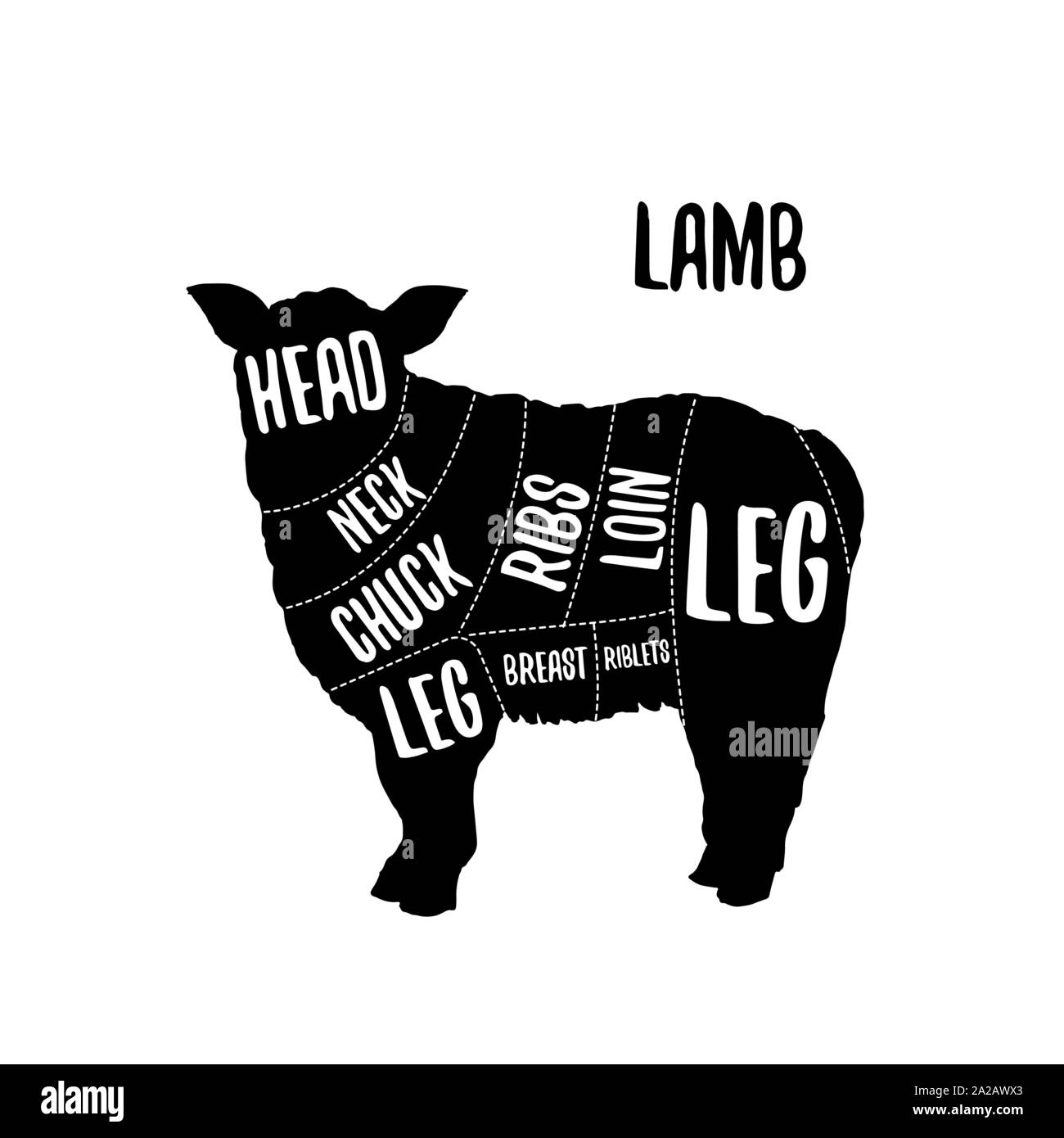Carne di agnello grafici di taglio illustrazione vettoriale per negozio di macellaio guida. Etichetta per farm design Illustrazione Vettoriale