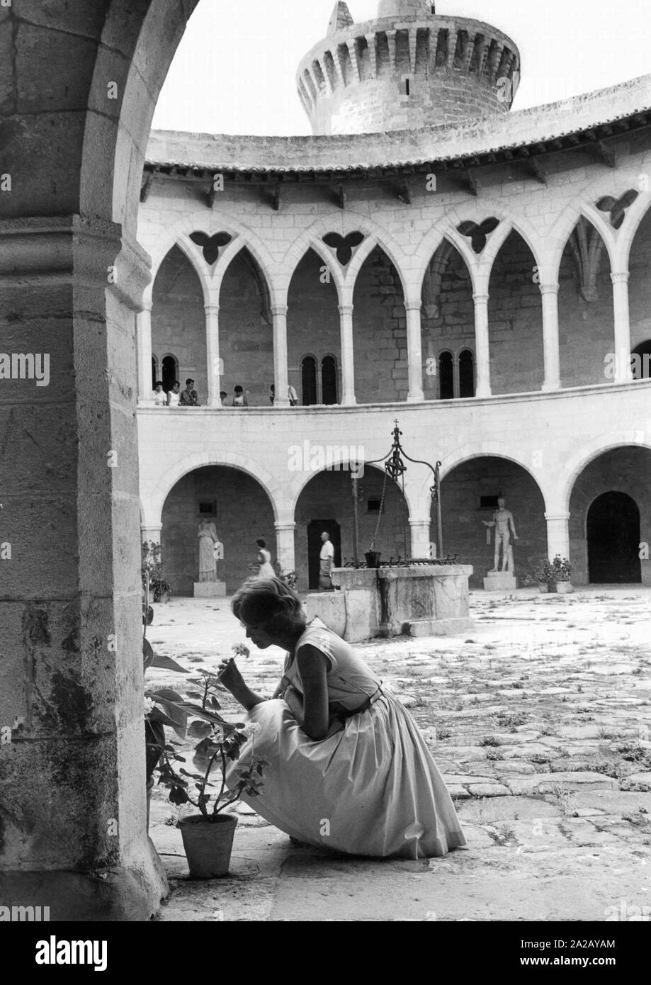 Un turista odorare un fiore. Foto Stock