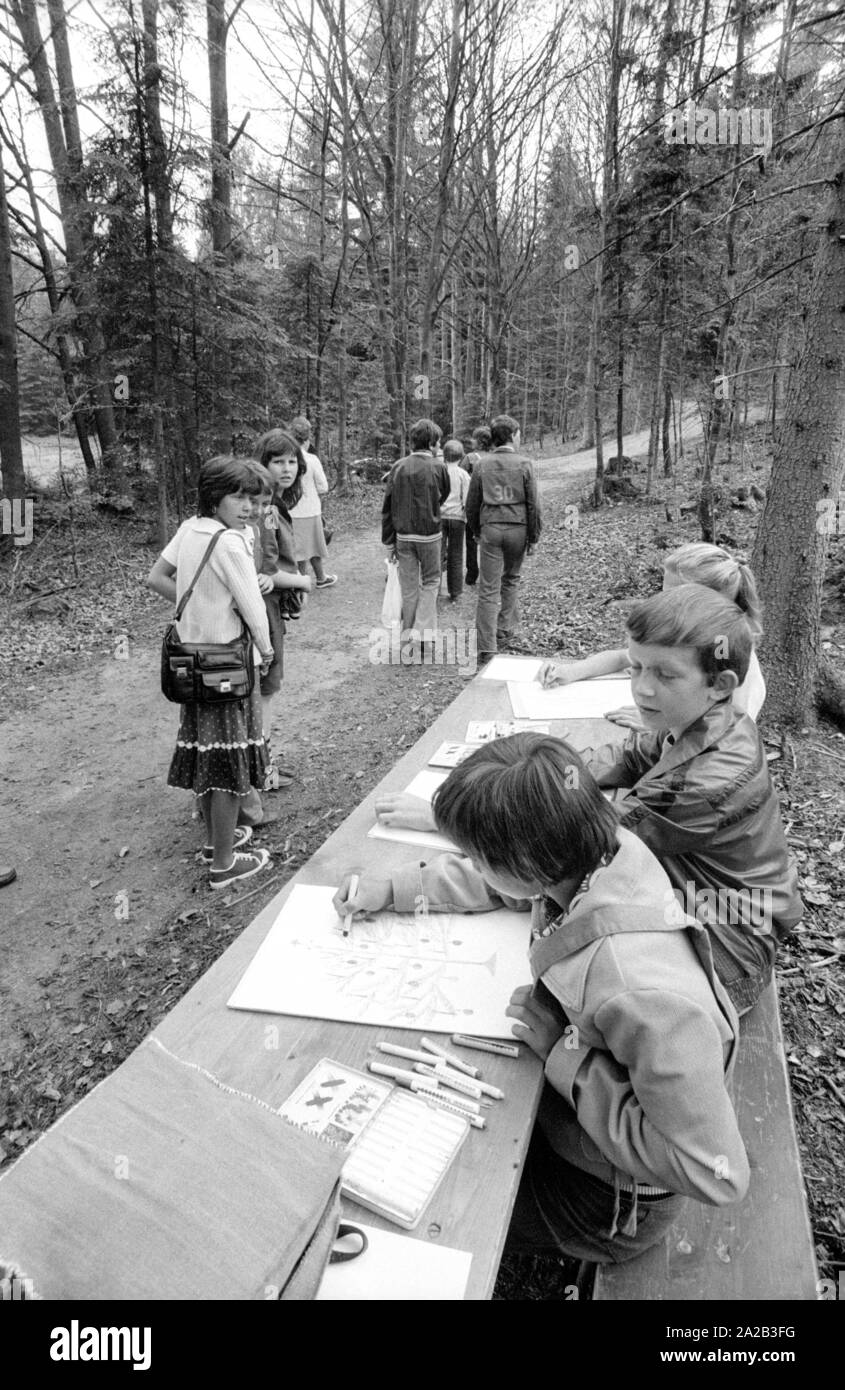 Una giornata del bosco è stato organizzato per i bambini disabili con una escursione nella foresta bavarese in prossimità di Kelheim. La foto mostra il gruppo di bambini su un sentiero di bosco. Essi siedono a tabelle di birra e dipingere quadri. Foto Stock Una giornata del bosco è stato organizzato per i bambini disabili con una escursione nella foresta bavarese in prossimità di Kelheim. La foto mostra il gruppo di bambini su un sentiero di bosco. Essi siedono a tabelle di birra e dipingere quadri. Foto Stock