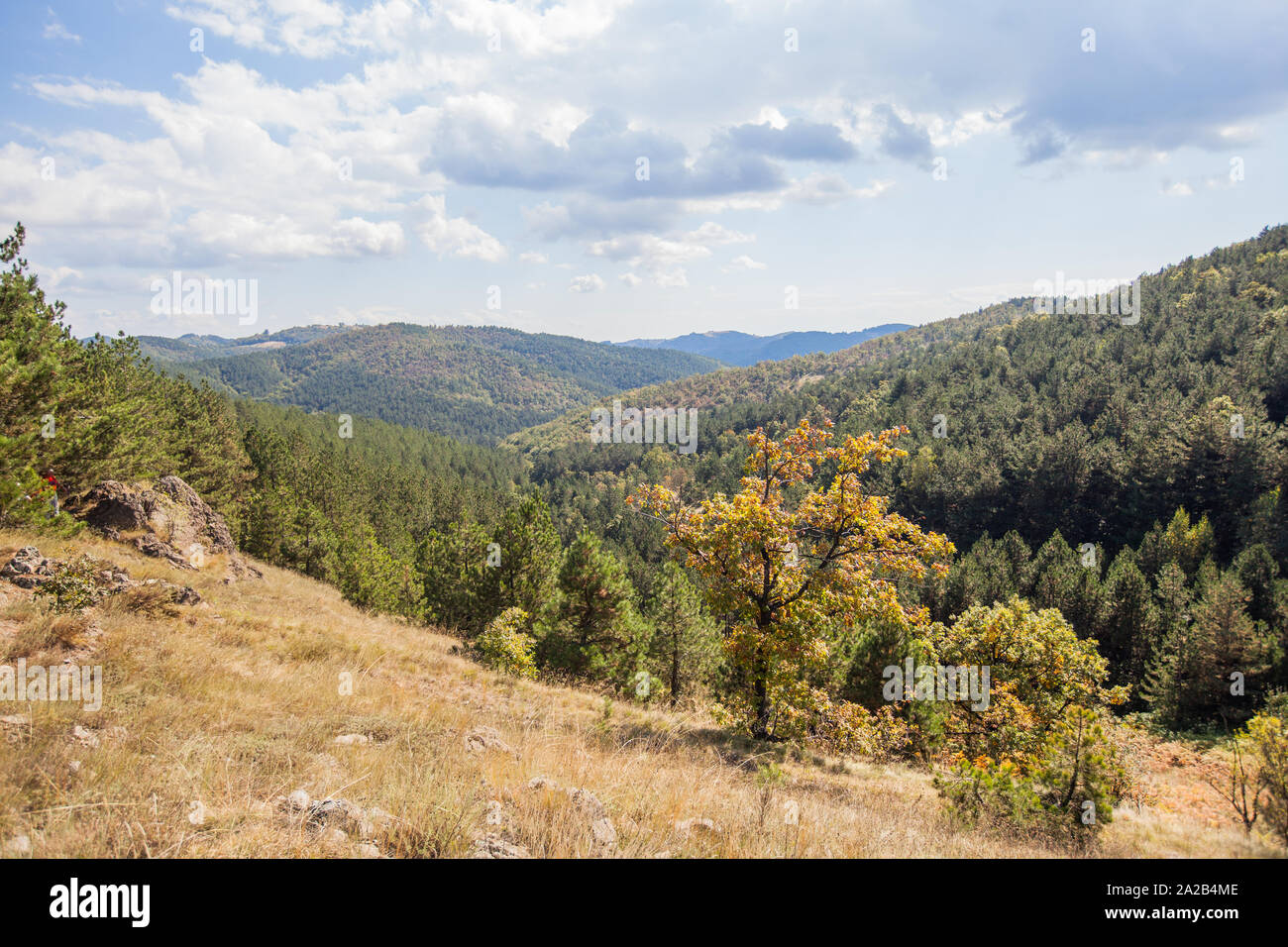 La splendida natura del paesaggio rurale, foresta e colline, vista panoramica dalla cima del monte Rajac, Serbia, l'Europa. Foto Stock