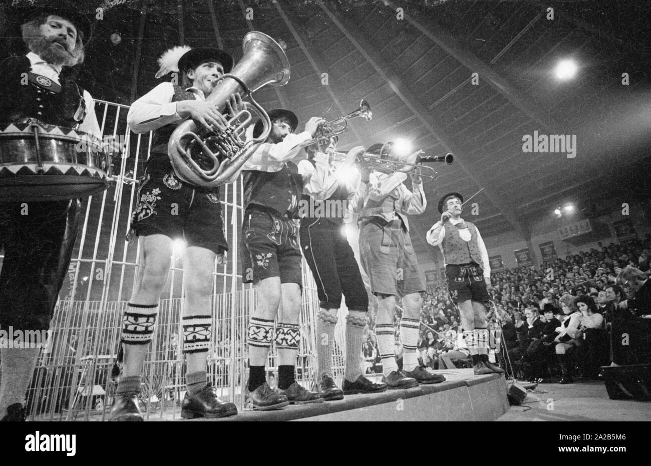 Una banda bavarese e il gruppo in costumi tradizionali esegue nella carità show televisivo 'Die Goldene Zehn' (noto anche come 'Stelle in der Manege'). In background, le barre di un carnivoro gabbia. Foto Stock