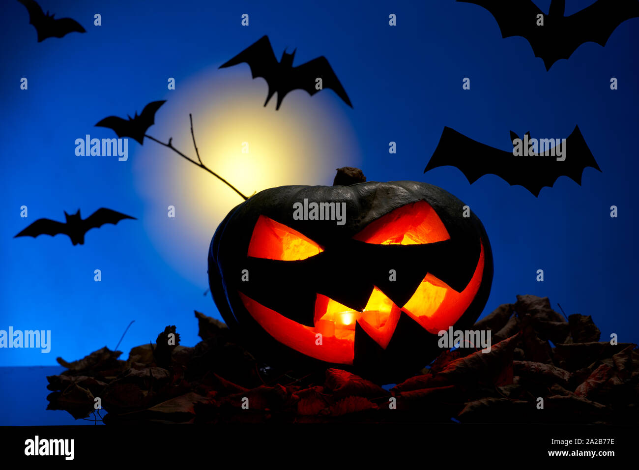 Foto di una zucca con bocche di masterizzazione, Pipistrelli di notte con la luna Foto Stock