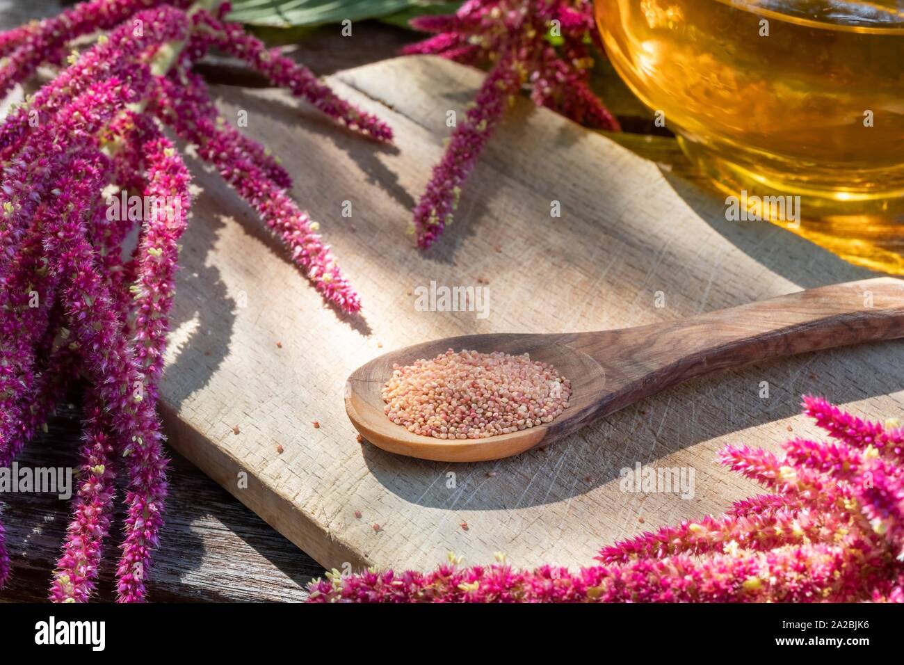 Amaranthus caudatus semi, fiori e olio. Foto Stock