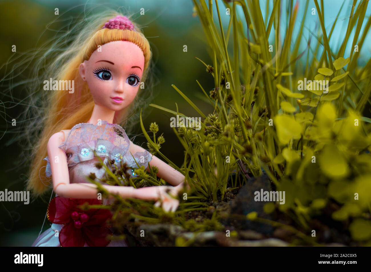 Bambola Barbie modello in posa posa attraente. India Foto stock - Alamy