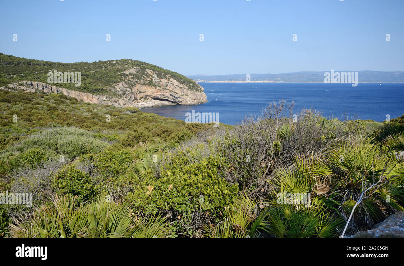 Egli ha il punto più alto di Punta Giglio della costa mediterranea della Sardegna nel Parco Naturale di Porto Conte. La città di Alghero in background Foto Stock