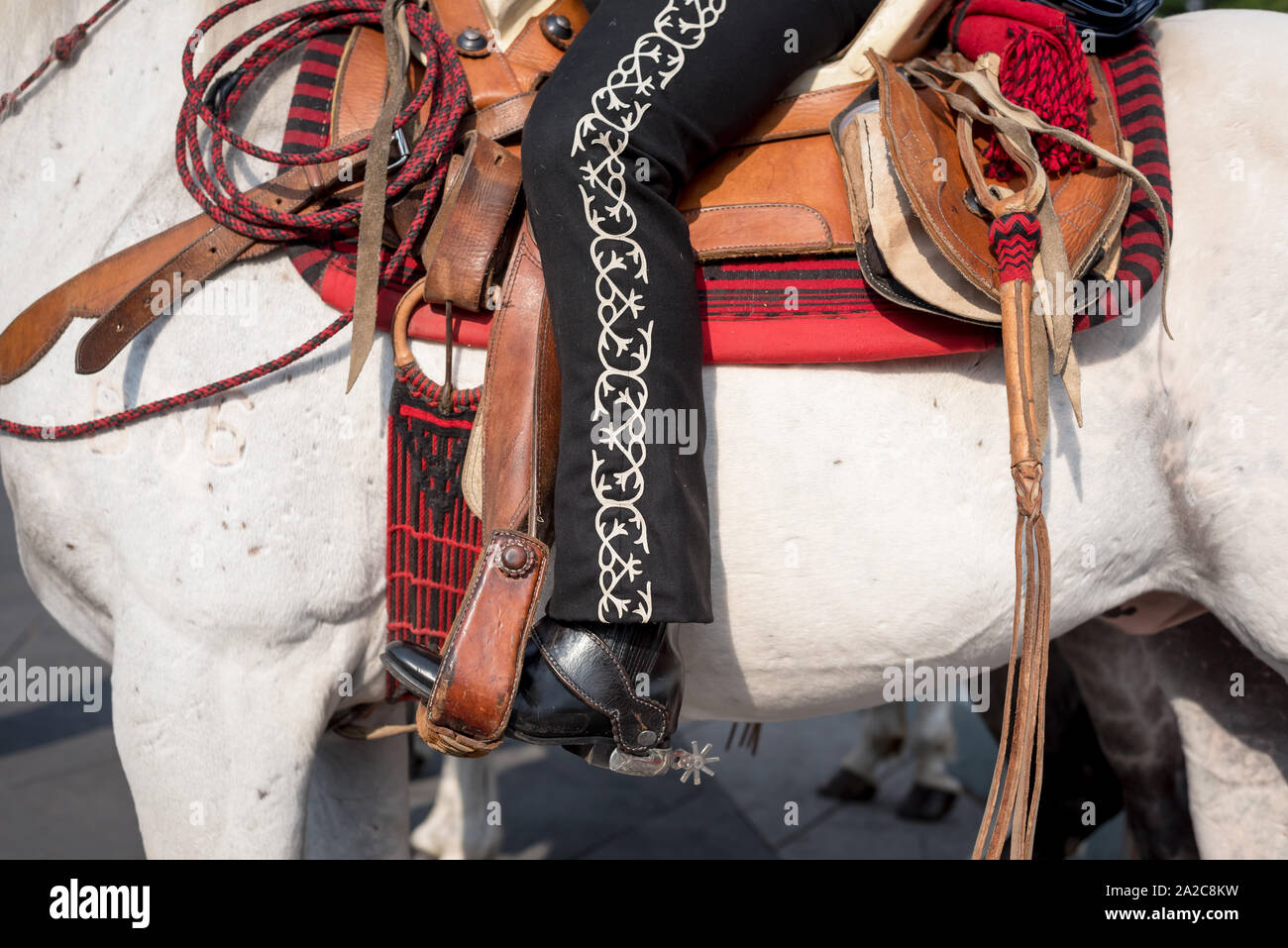 Luglio, 23, 2019: Un mariachi passeggiate a cavallo in Piazza Garibaldi, Ciudad de Mexico, Messico Foto Stock