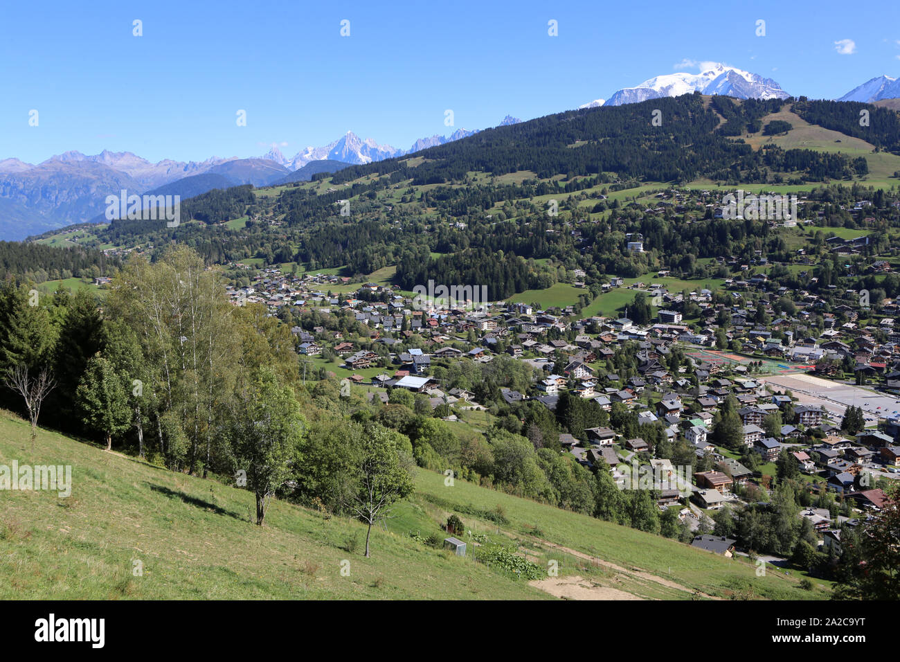 Megève et le Massif du Mont-Blanc. Vie du Massif du Jaillet. Alta Savoia. La Francia. / Megeve e il massiccio del Monte Bianco. Alta Savoia. La Francia. Foto Stock