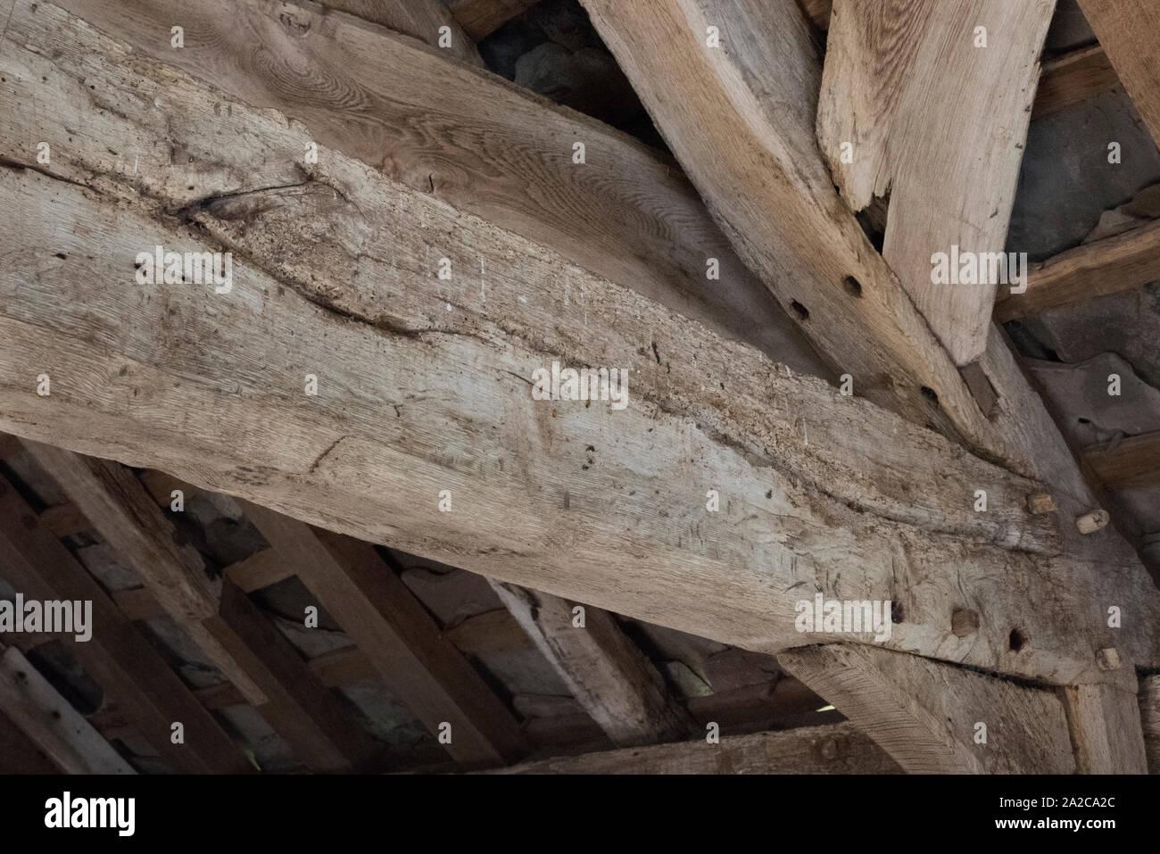 Le vecchie travi in legno con il tarlo Foto Stock