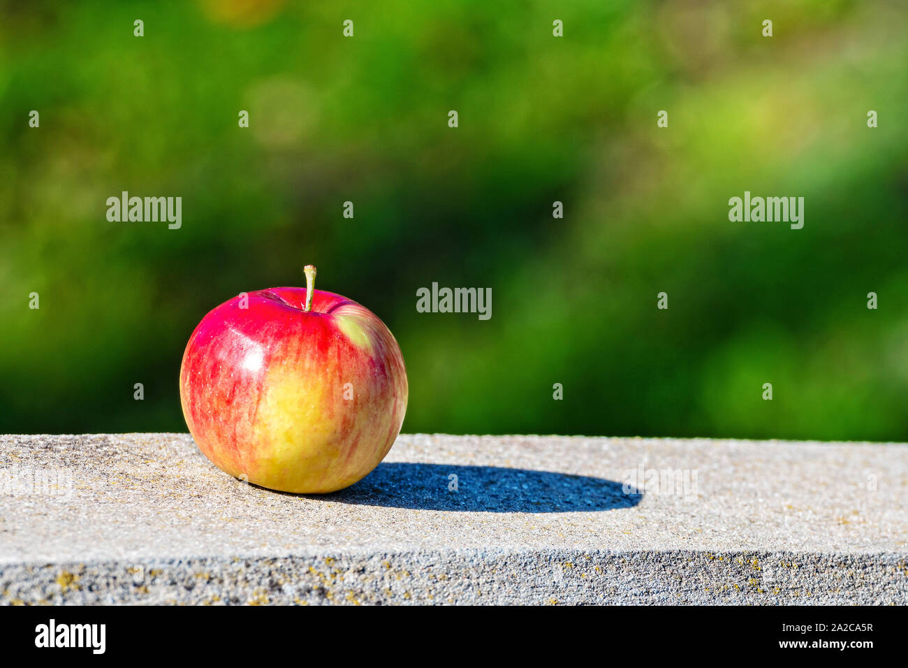 Lonely apple con ombra in una giornata di sole sui cordoli di granito. Messa a fuoco selettiva. Sfondo sfocato. Foto Stock