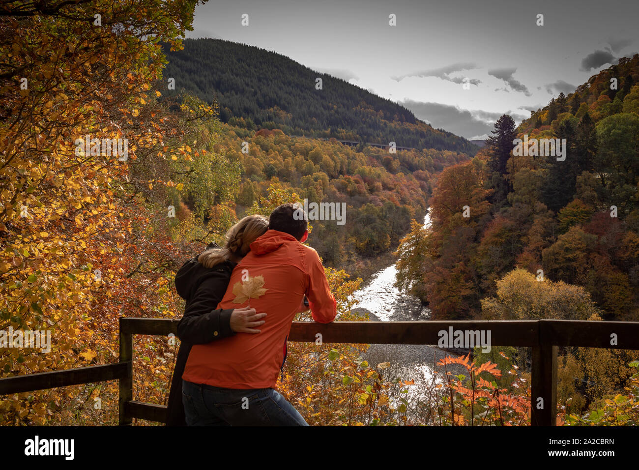 I colori autunnali delle Highlands Scozzesi. Foto Stock