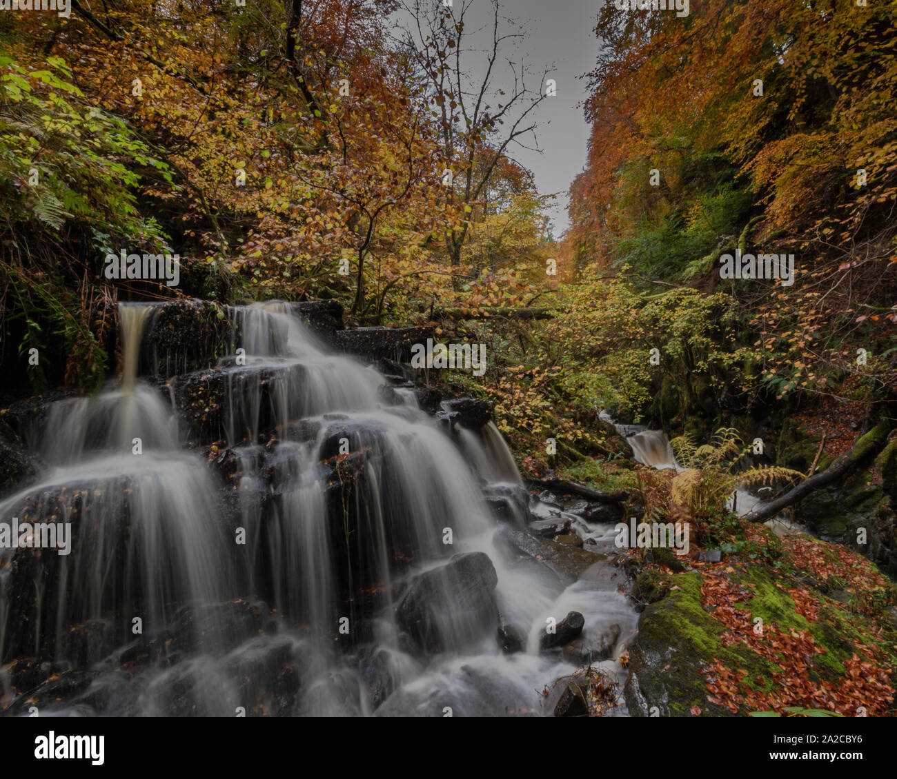 I colori autunnali delle Highlands Scozzesi. Foto Stock