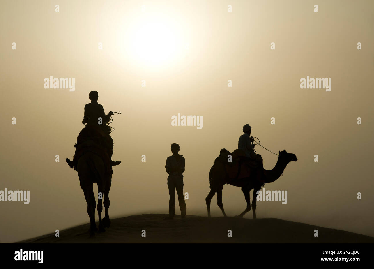 Tramonto nel deserto di Thar - silhouette di un ragazzo che sta in mezzo a piloti di cammello Foto Stock