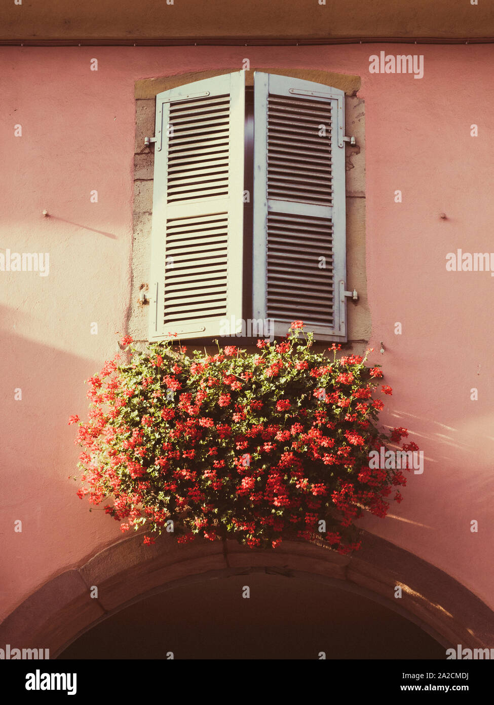 Una vecchia finestra francese con ante e piuttosto window box pieno di gerani in un edificio in Eguisheim Alsace Francia Foto Stock