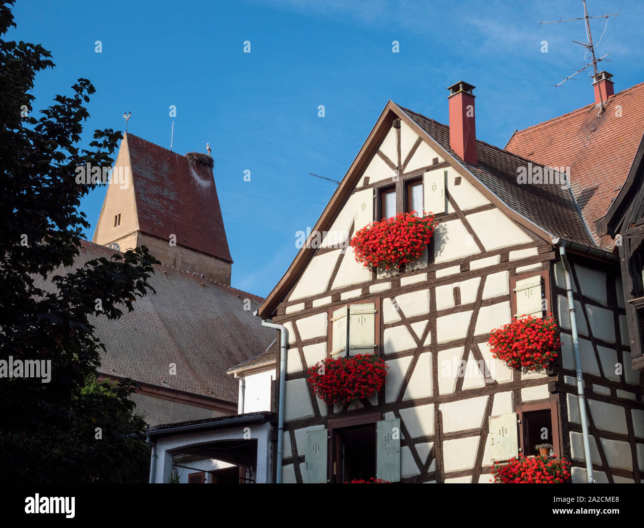 Graticcio edifici nel centro di Eguisheim Alsace Francia una graziosa cittadina medievale nel cuore dell'Alsazia regione vinicola e viaggi popolari dest Foto Stock