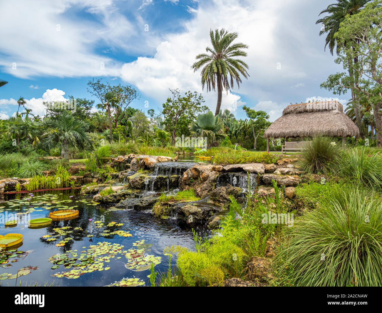 Napoli Orto Botanico di Napoli Florida negli Stati Uniti Foto Stock