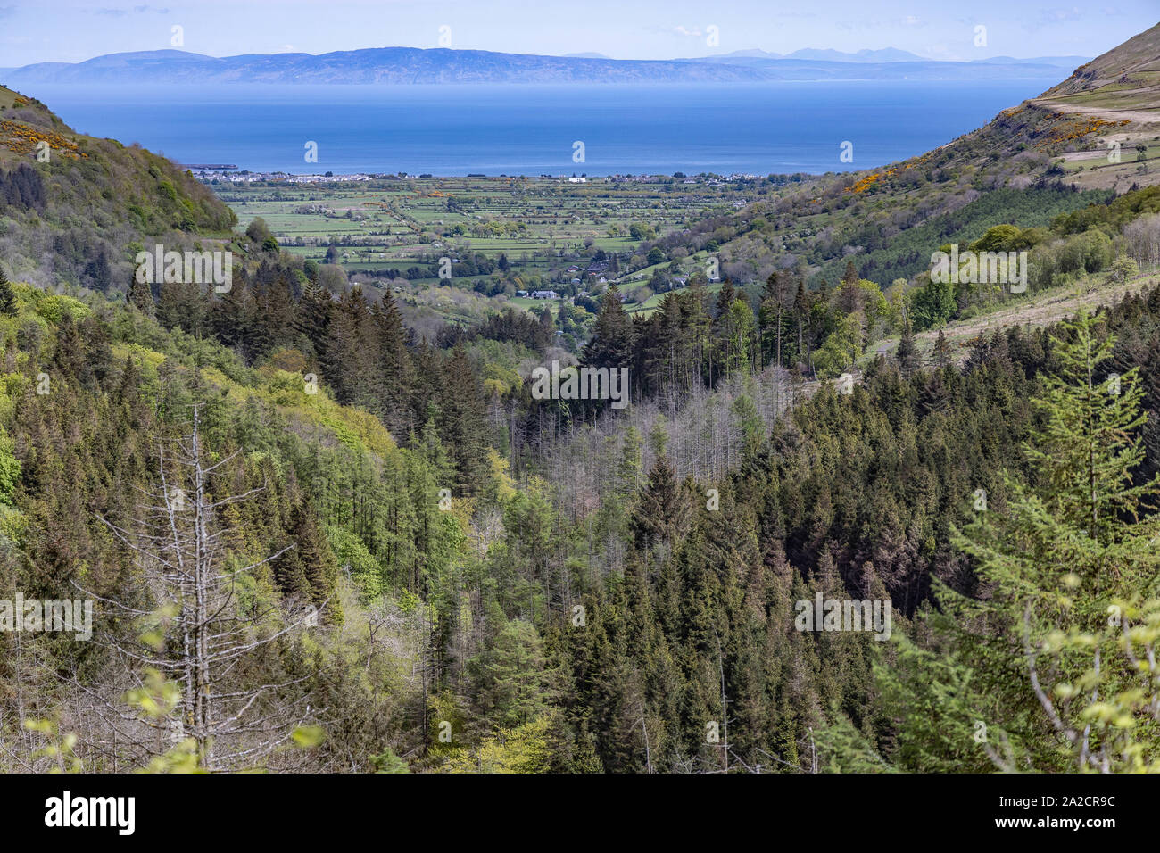 Glenariff Forest park Foto Stock