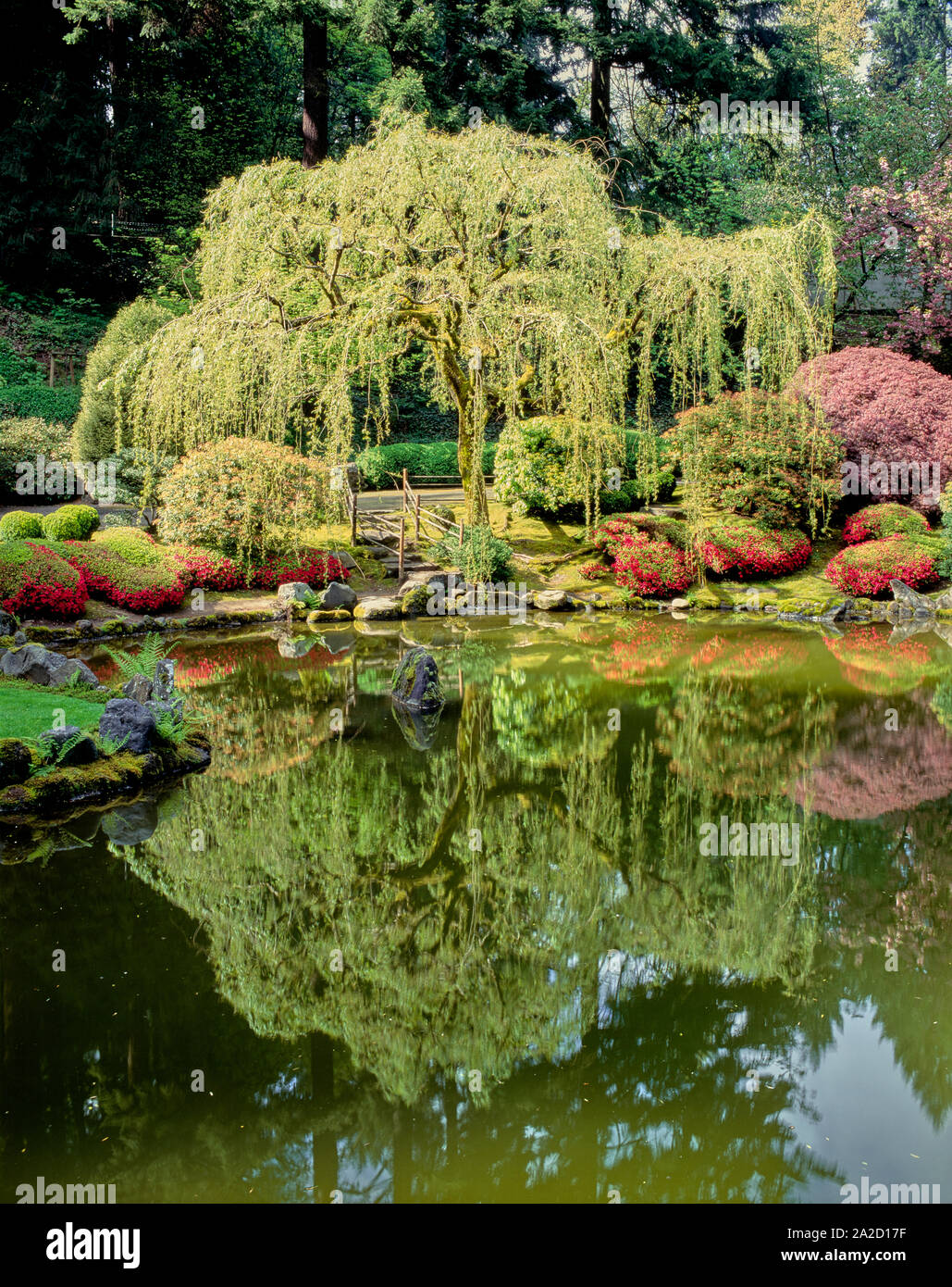 Laghetto superiore nel passeggiare stagno giardino, Giardino Giapponese, Portland, Oregon, Stati Uniti d'America Foto Stock