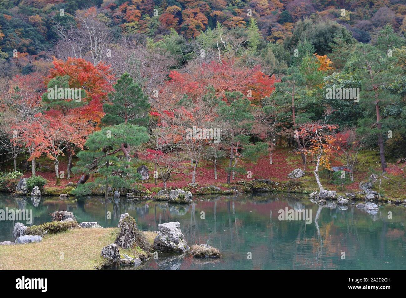 Kyoto, Giappone - giardini di Tenryuji in Arashiyama. Foglie di autunno. Foto Stock