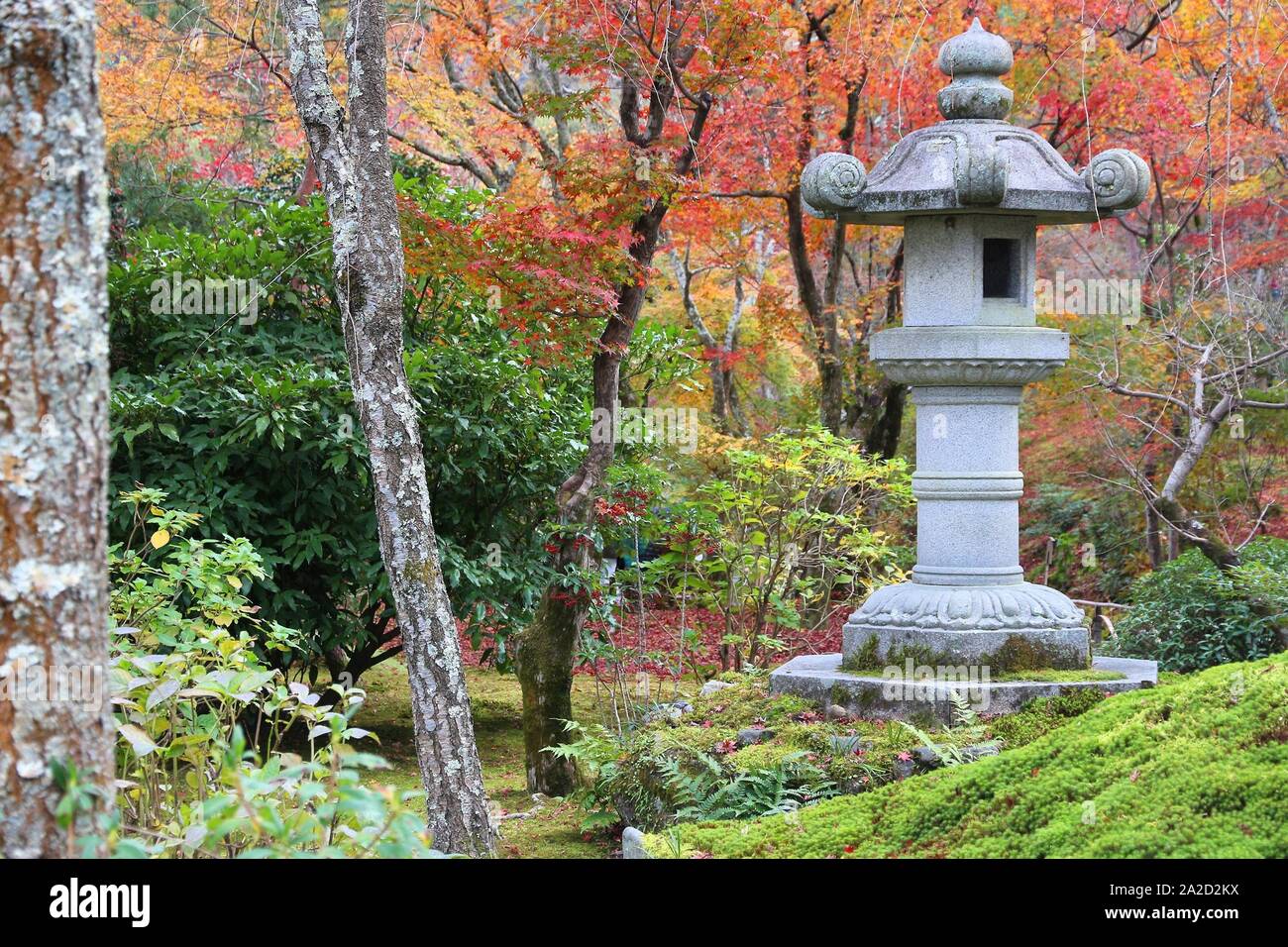 Kyoto, Giappone - lanterna di pietra inTenryuji giardini in Arashiyama. Foglie di autunno. Foto Stock