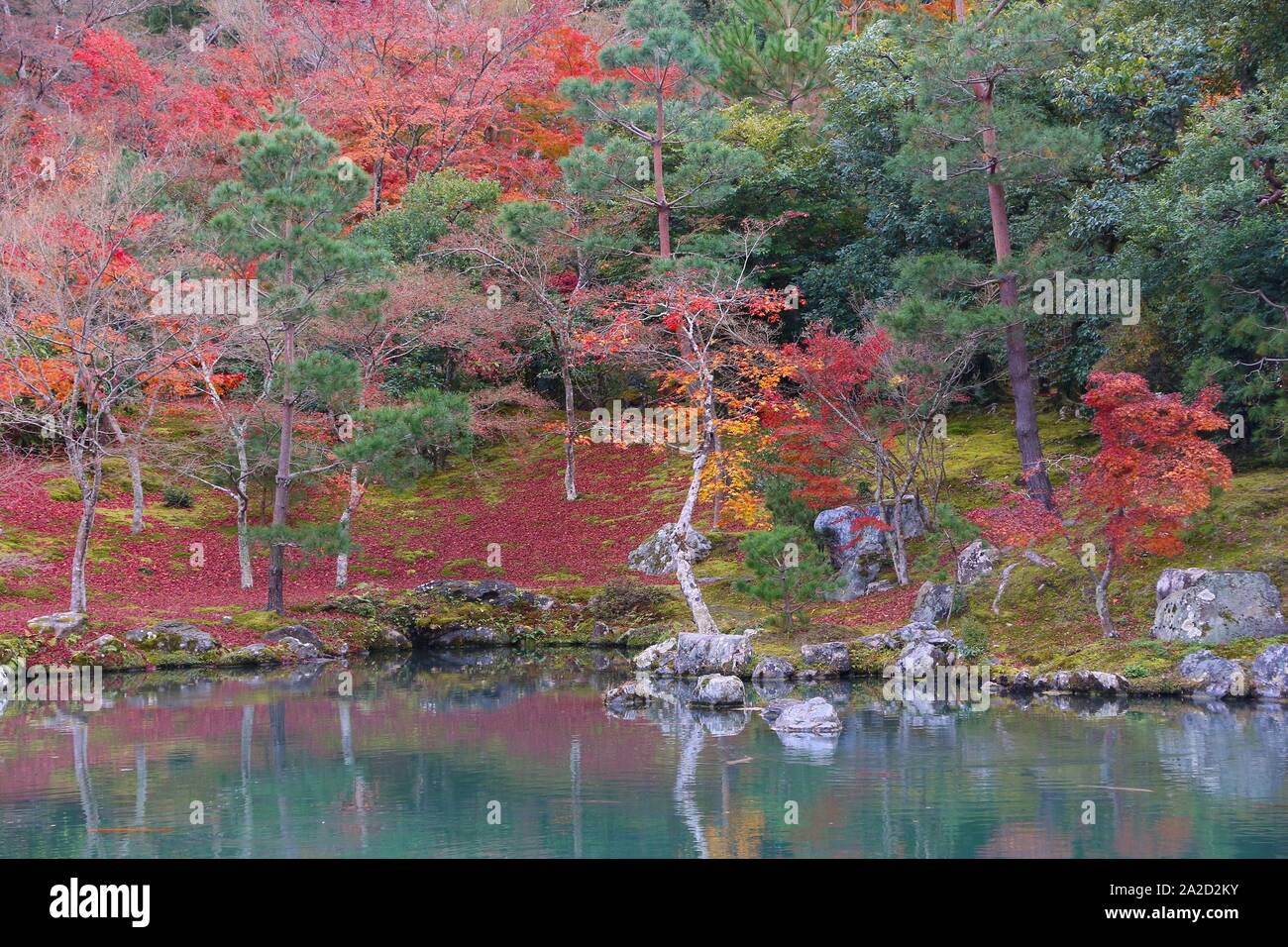 Kyoto, Giappone - giardini di Tenryuji in Arashiyama. Foglie di autunno. Foto Stock