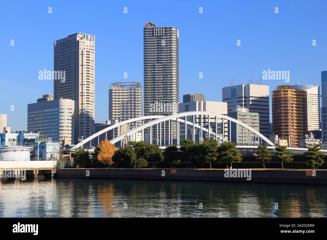 Kachidoki Tokyo skyline della città - moderni quartieri residenziali con alti edifici di appartamenti. Foto Stock