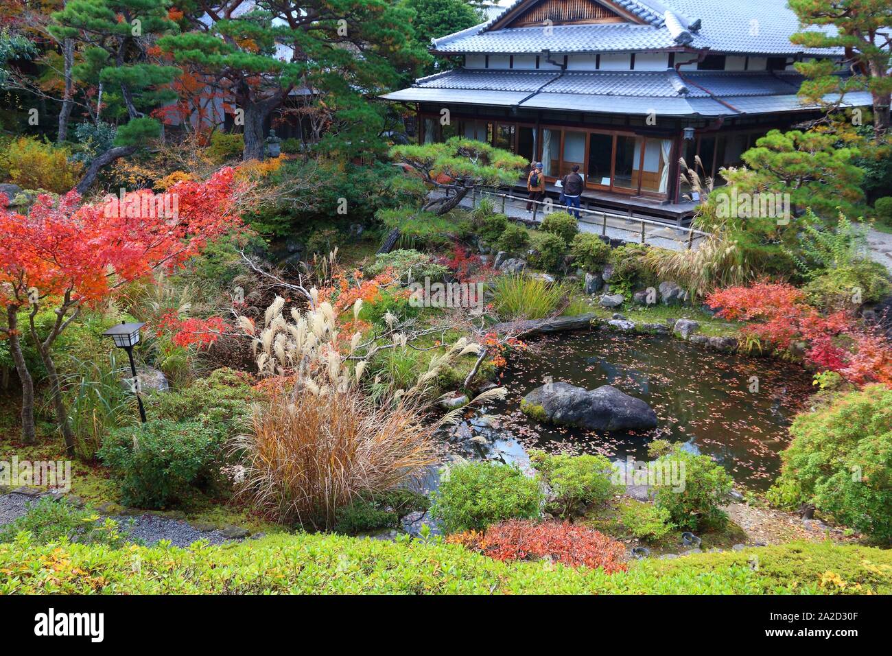 Nara, Giappone. I colori autunnali nel giardino giapponese del tè. Yoshikien Garden. Foto Stock