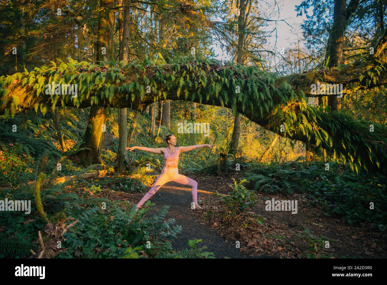 Vista della giovane donna in yoga posa in foresta, Bainbridge Island, Washington, Stati Uniti d'America Foto Stock