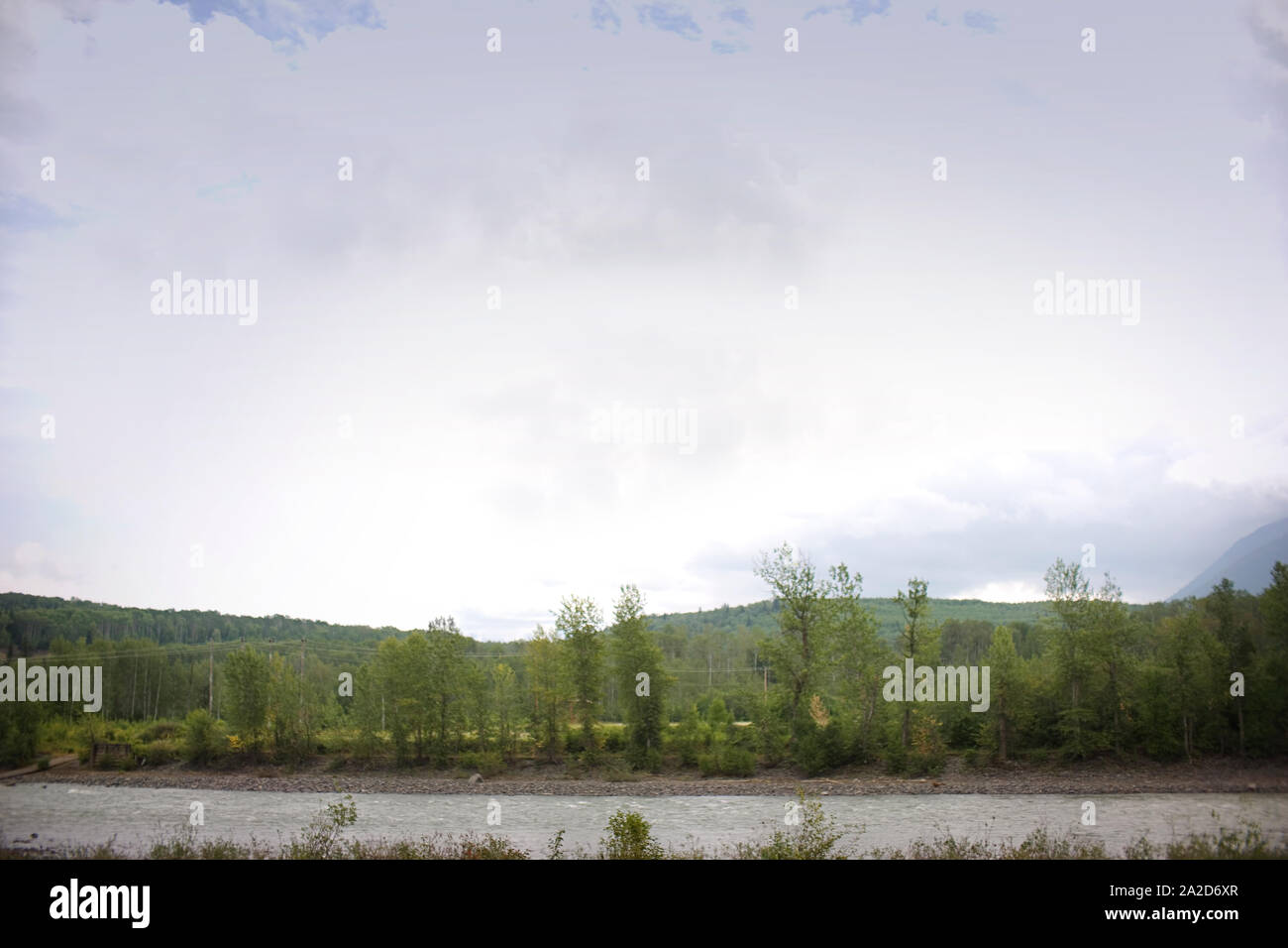 Fiume orlate da alberi. Foto Stock