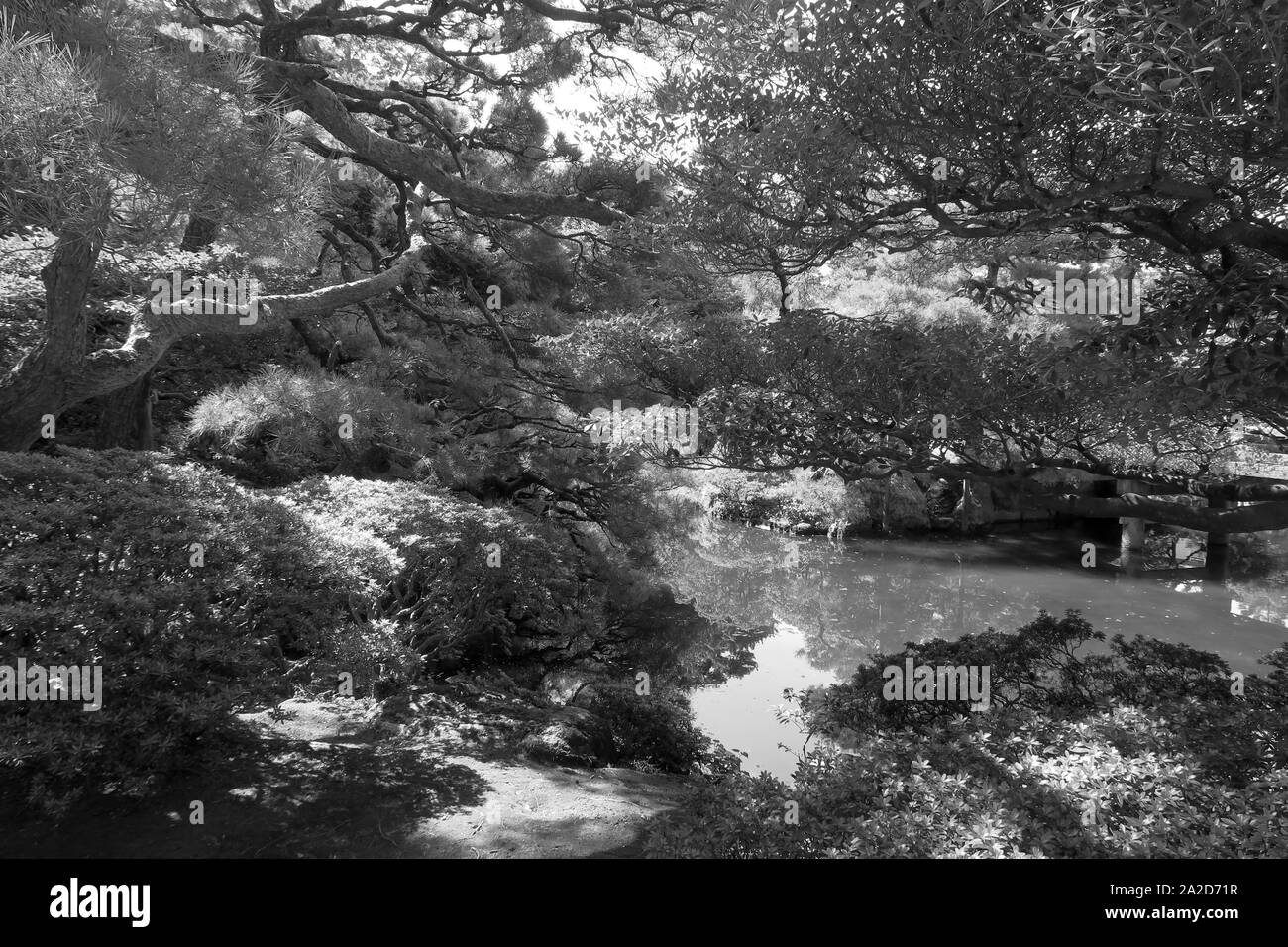 - Kyoto 京都 - Giardino al Palazzo Imperiale di Kyoto (京都御所) Kyōto-gosho Foto Stock