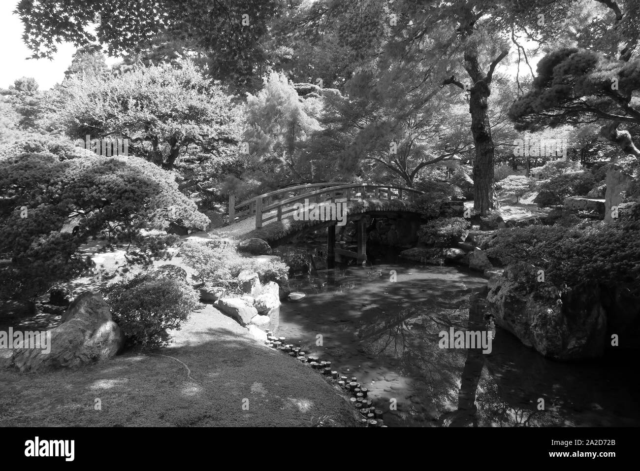 - Kyoto 京都 - Giardino al Palazzo Imperiale di Kyoto (京都御所) Kyōto-gosho Foto Stock