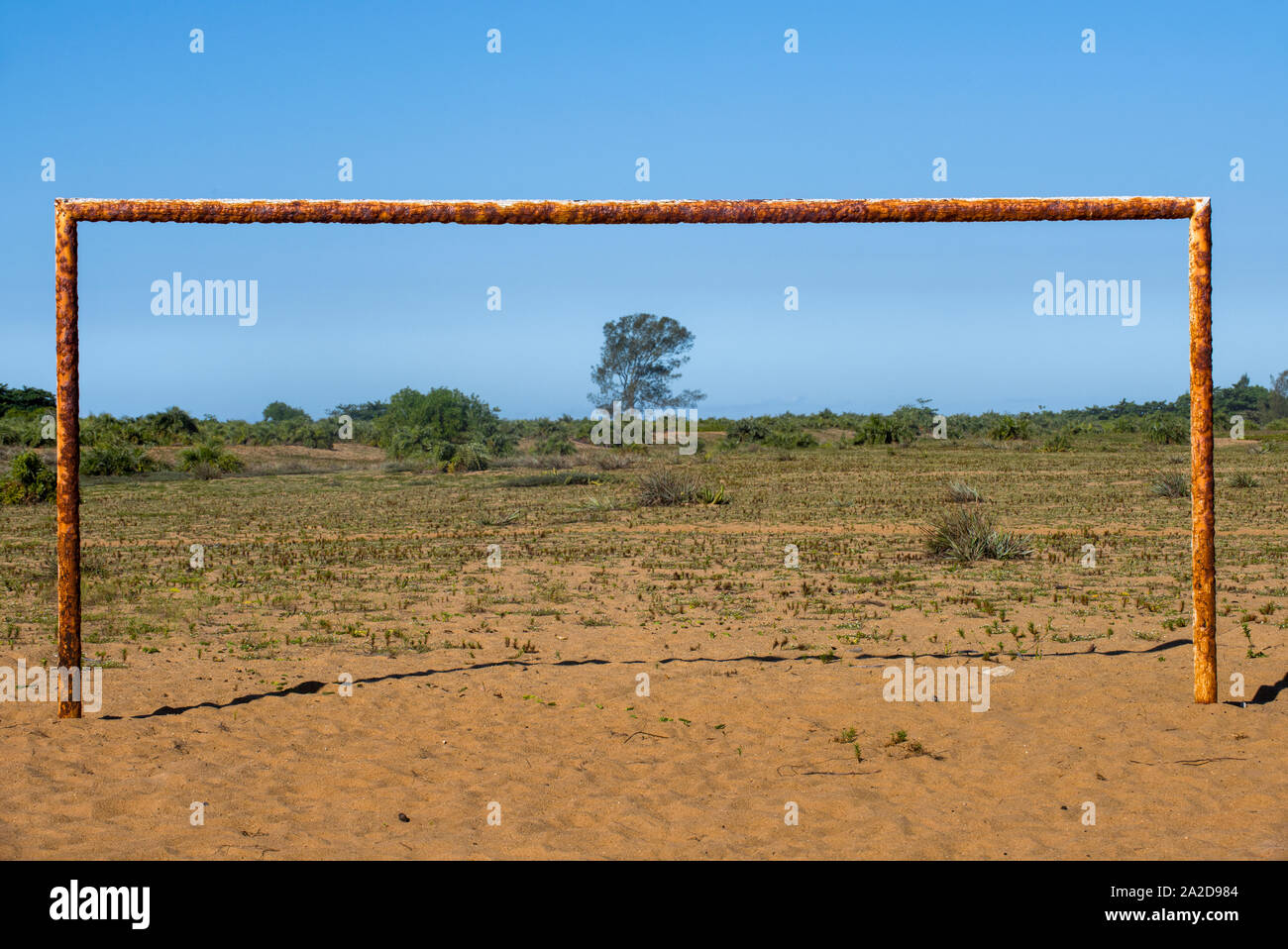 Rusty paletti Foto Stock