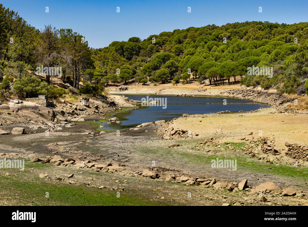 Vista del letto di un fiume con poca acqua a causa del cambiamento climatico tra foreste di pini nella provincia di Avila in Spagna Foto Stock