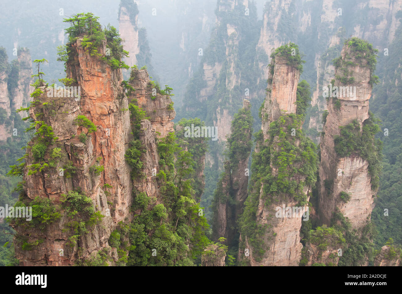 Il paesaggio e unusal formazioni rocciose di Zhangjiajie Forest park nella provincia del Hunan Cina in astratto la colorazione blu. Foto Stock