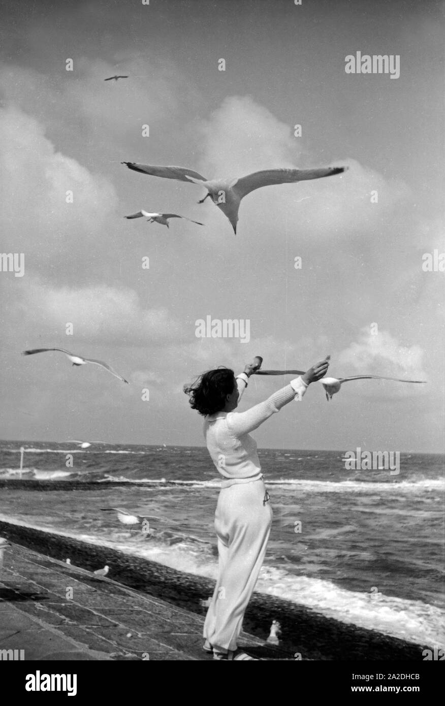 Eine Frau steht im Wind an der Küste am Meer und die füttert Möwen, Deutschland 1930er Jahre. Una donna in piedi sulla riva del mare mare alimentazione gabbiani, Germania 1930s. Foto Stock