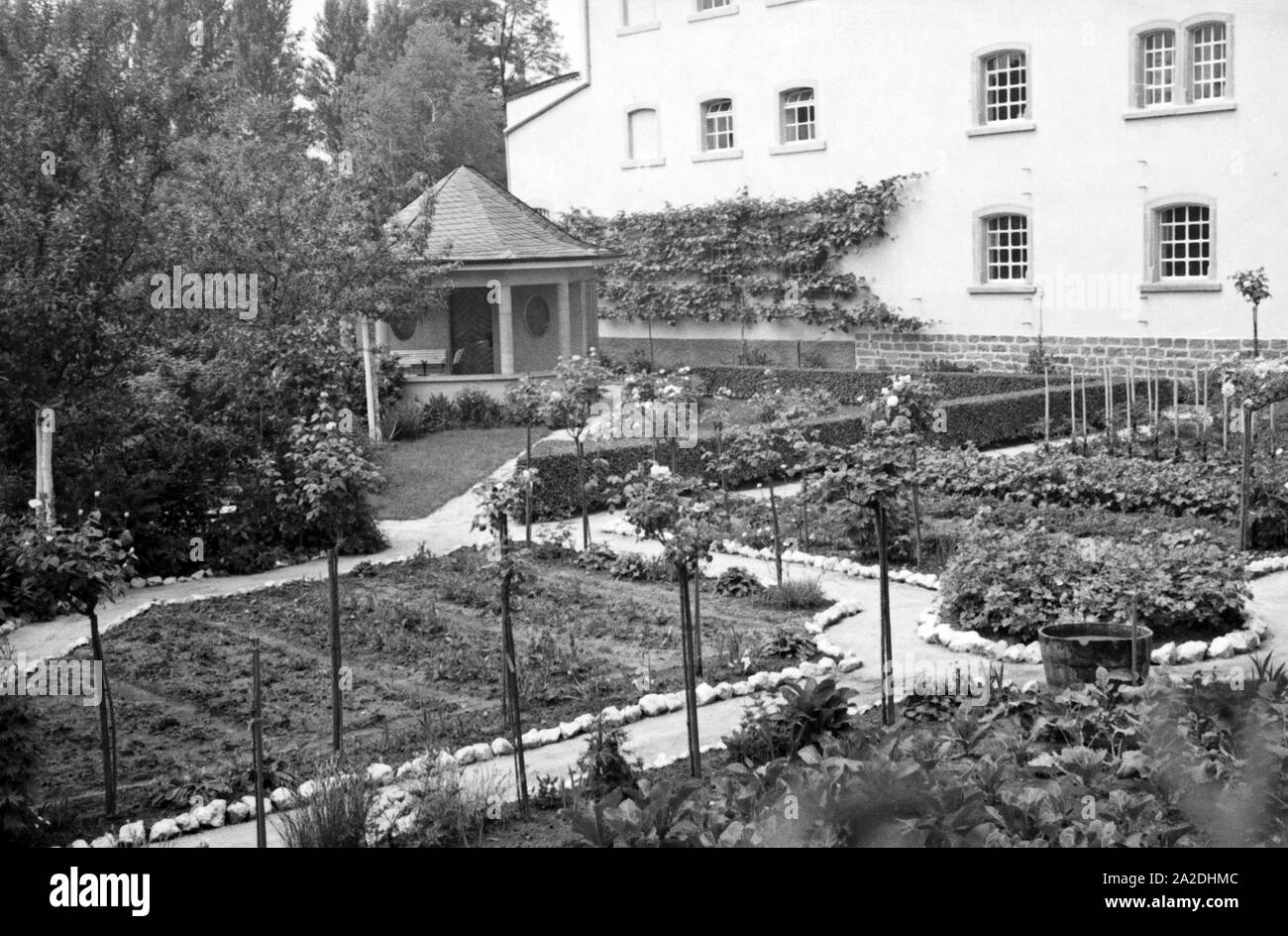 Gepflegter Prachtvoll Obst-, Kröuter- und Gemüsegarten in Schifferstadt, Deutschland 1930er Jahre. Bel frutteto a Schifferstadt, Germania 1930s. Foto Stock