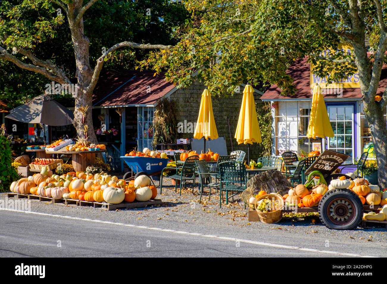 Zucche e altri prodotti visualizzati a Walkers bancarella per la strada a 261 W Main Rd 02837 Little Compton, Rhode Island, STATI UNITI D'AMERICA Foto Stock