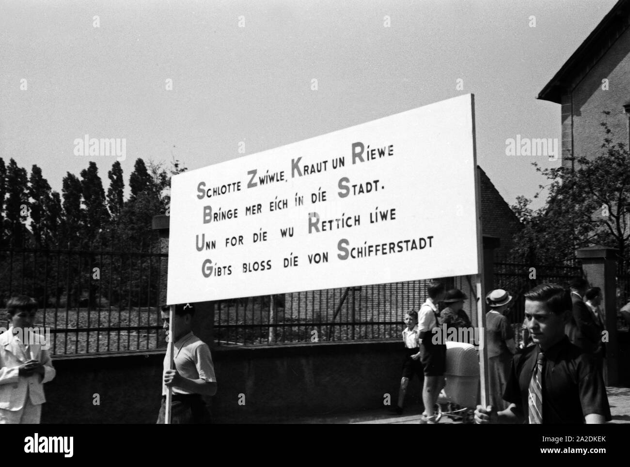 Sinnspruch zur Werbung für den Rettich beim Festumzug beim Rettichfest in Schifferstadt, Deutschland 1930er Jahre. Slogan pubblicitario per il ravanello presso il corteo al rafano annuale fiera a Schifferstadt, Germania 1930s. Foto Stock