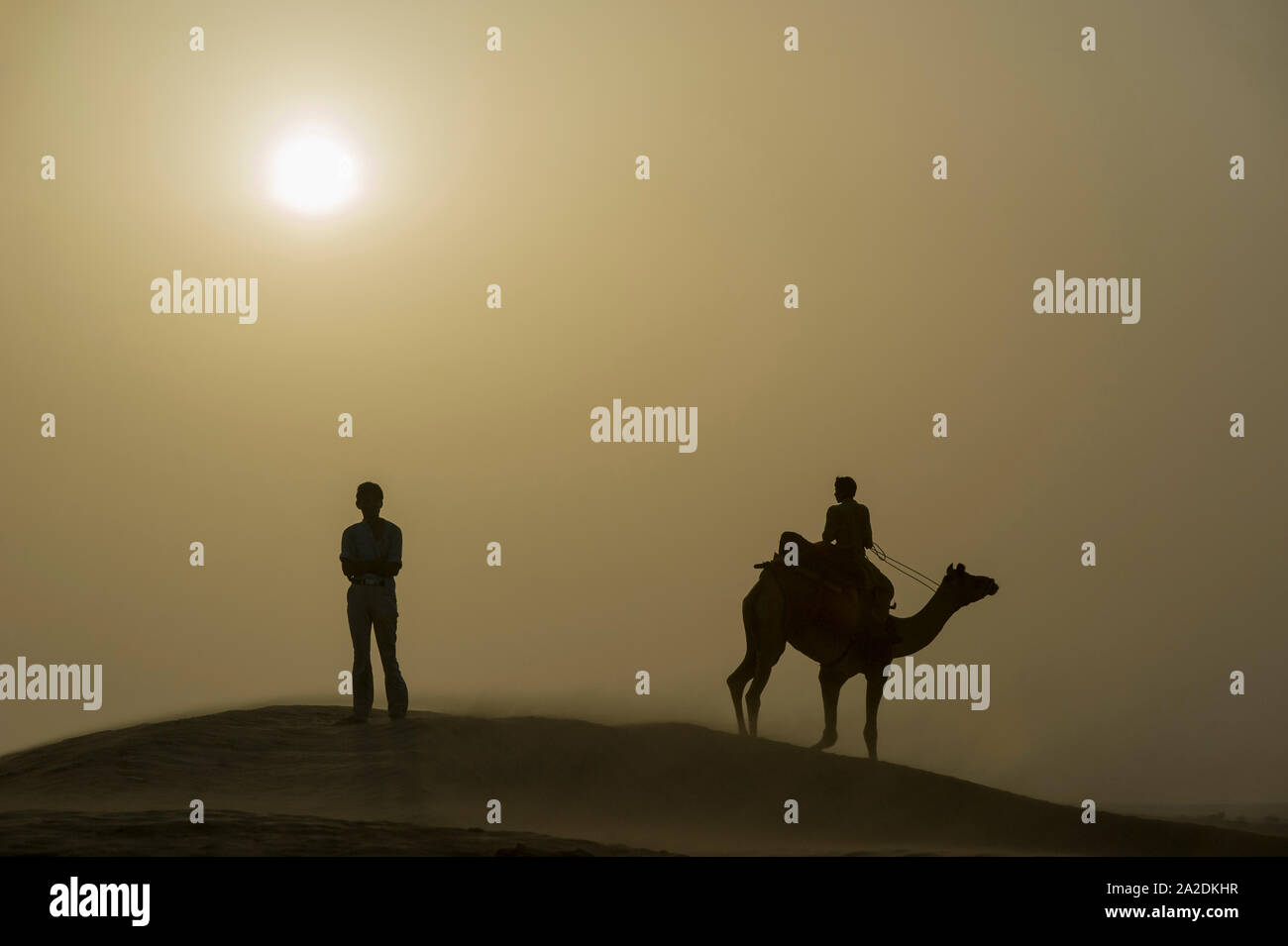Tramonto nel deserto di Thar con ragazzo permanente e la silhouette di cammello Foto Stock
