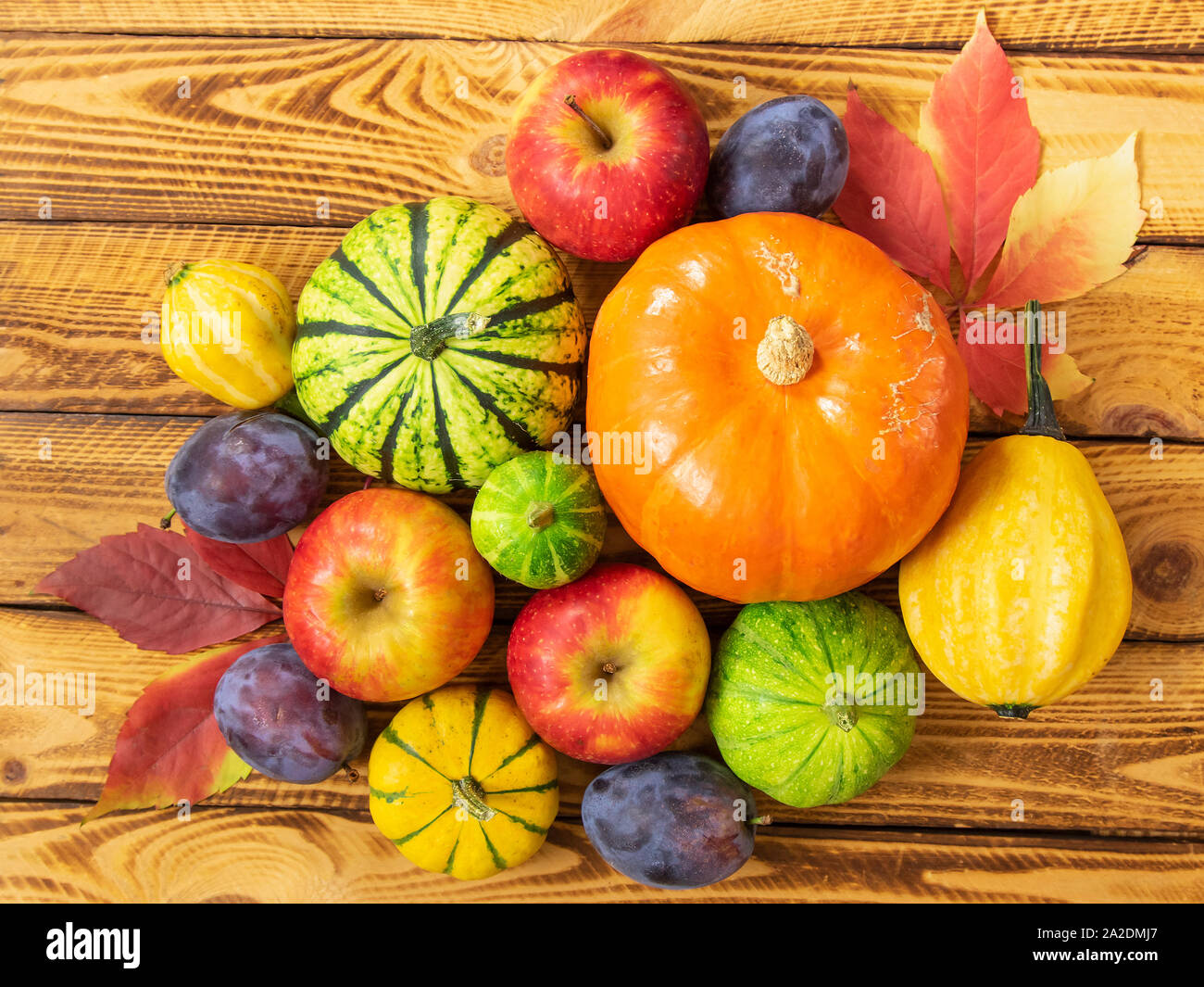 Raccolta ancora vita zucche con la frutta in legno rustico sfondo. Foto Stock