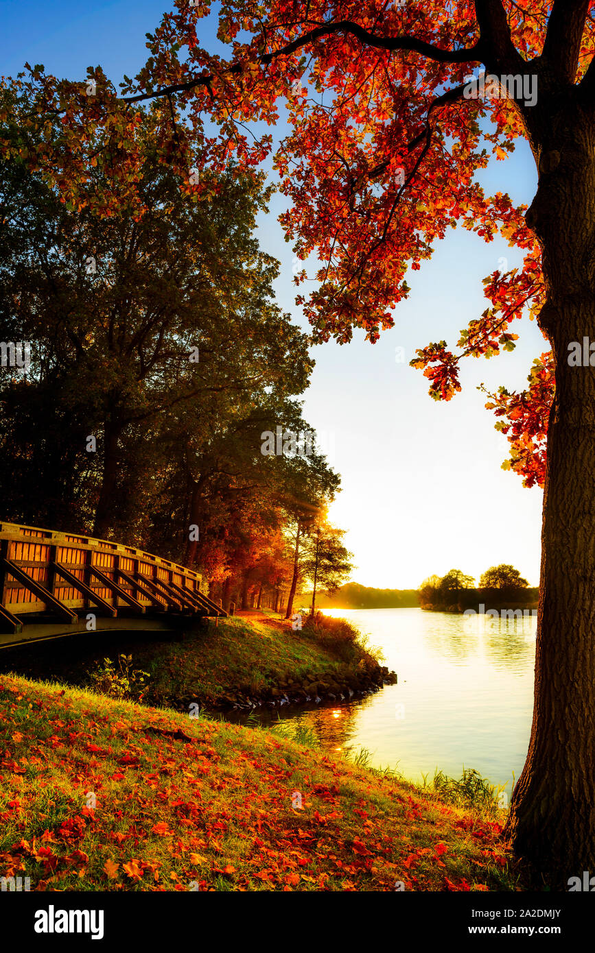 Landschaft im Herbst un einem Fluss bei Sonnenuntergang Foto Stock